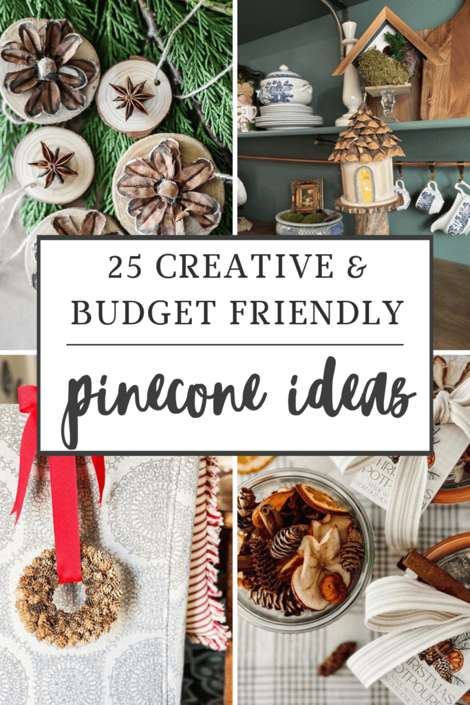 25 Ideas for Pincones