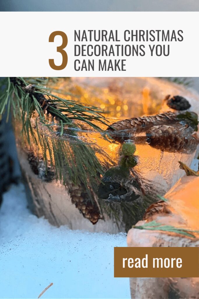 3 natural Christmas decorations