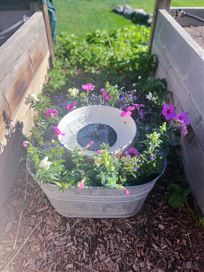 view of DIY Solar Fountain Ideas for the Garden