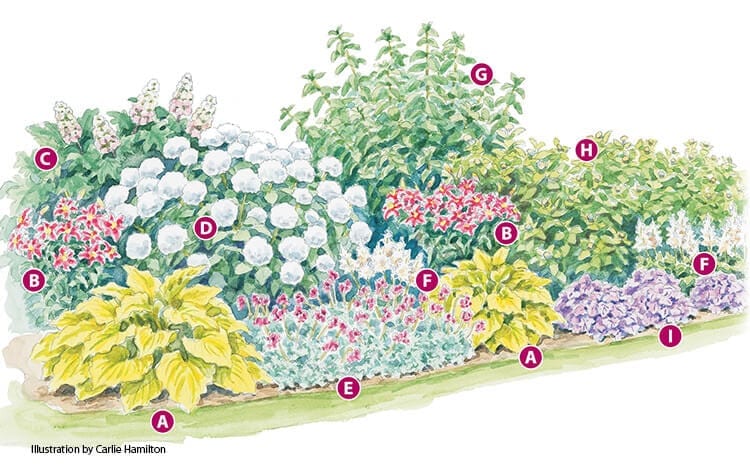 Garden Plan