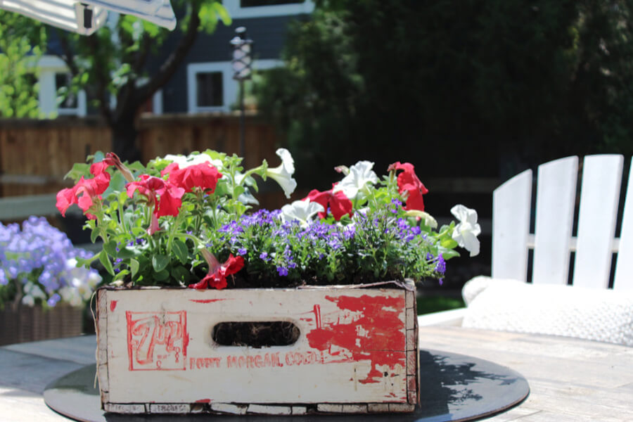 old soda crate turned patriotic planter