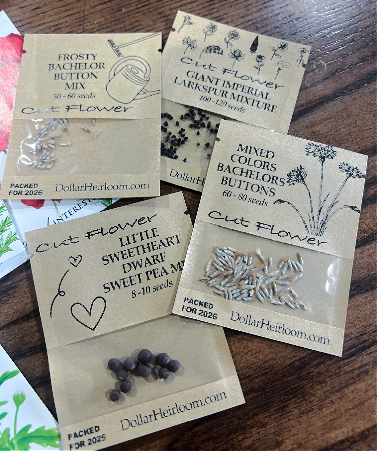 Dollar Heirloom seeds for winter sowing