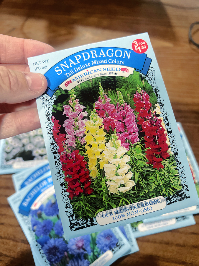 snapdragon seeds for winter sowing