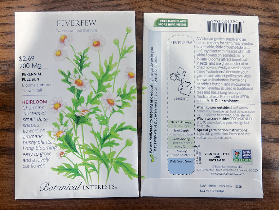 feverfew seeds for winter sowing