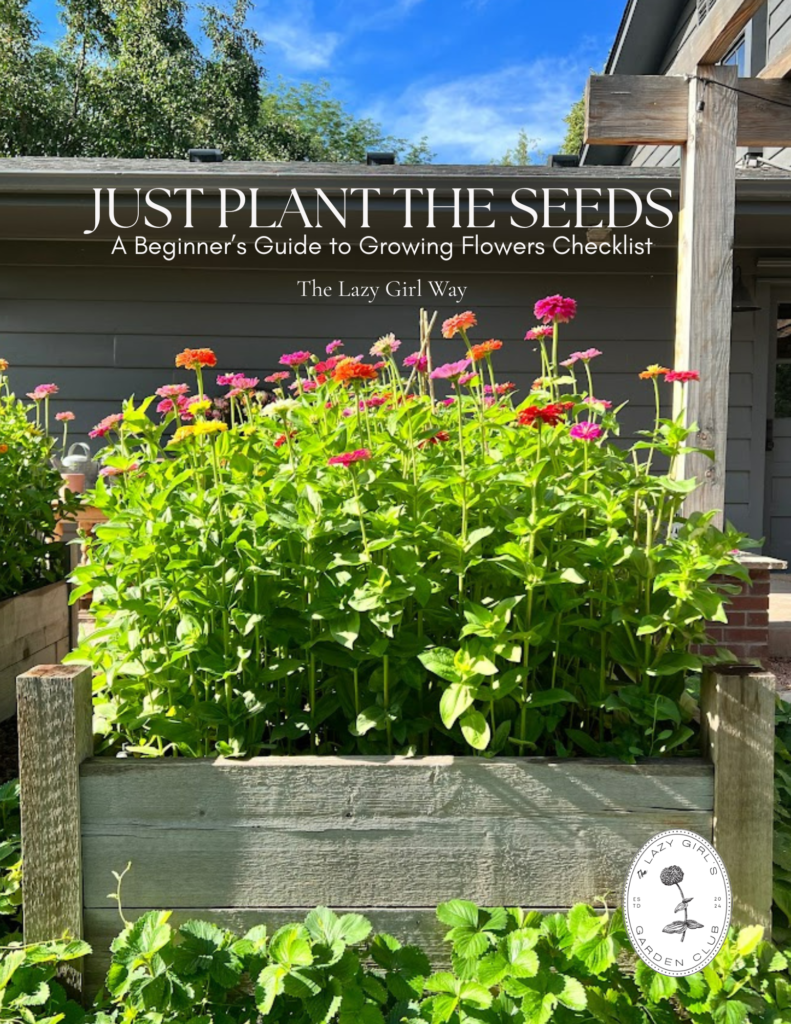 just plant the seeds