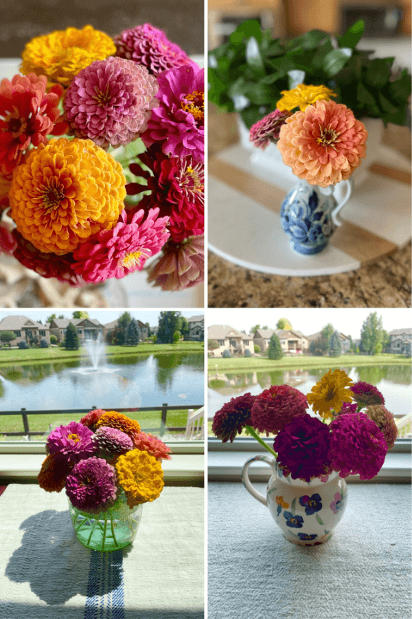 collage of zinnia bouquets from Tracy's September garden