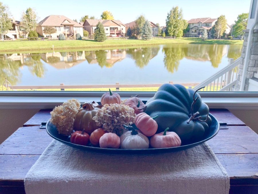tray of pumpkins in front of window
