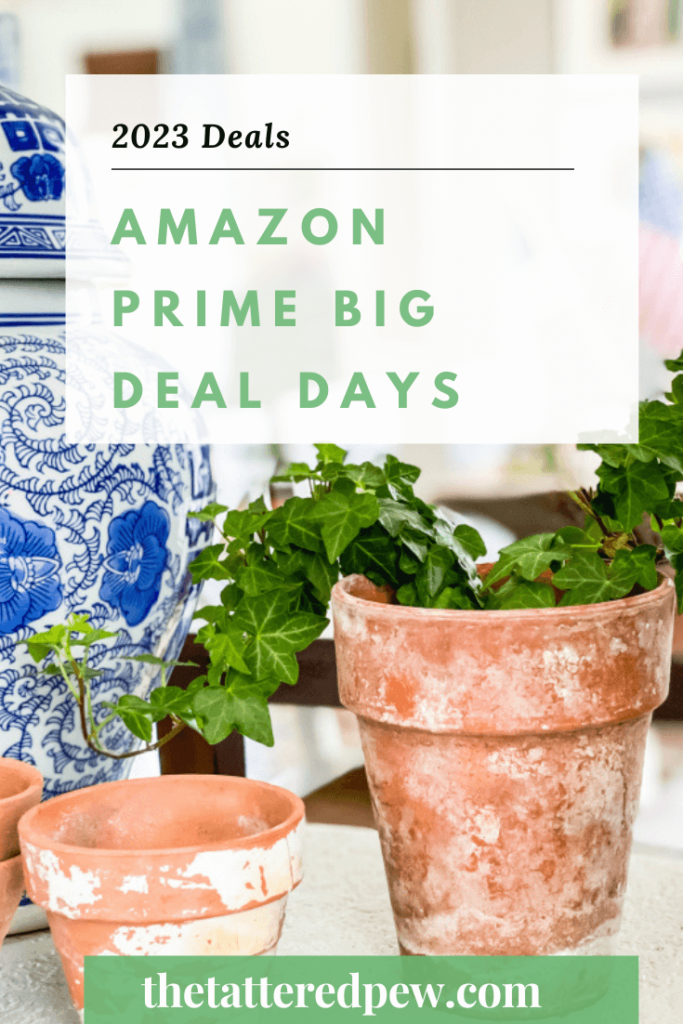 Amazon Prime Big Deal Days Pin