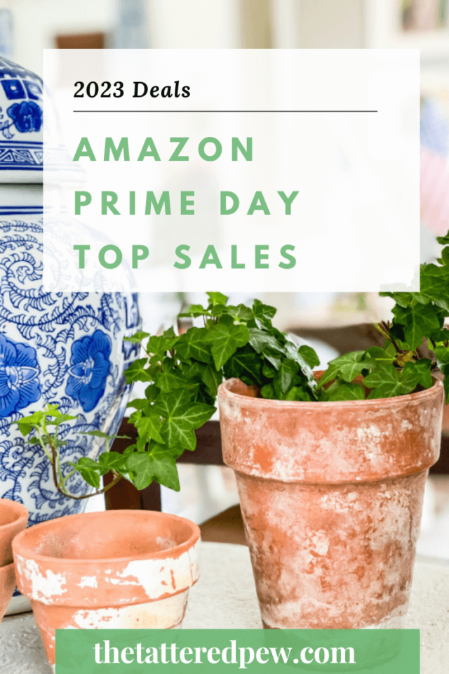 Amazon Prime Day Top Picks 2023 » The Tattered Pew