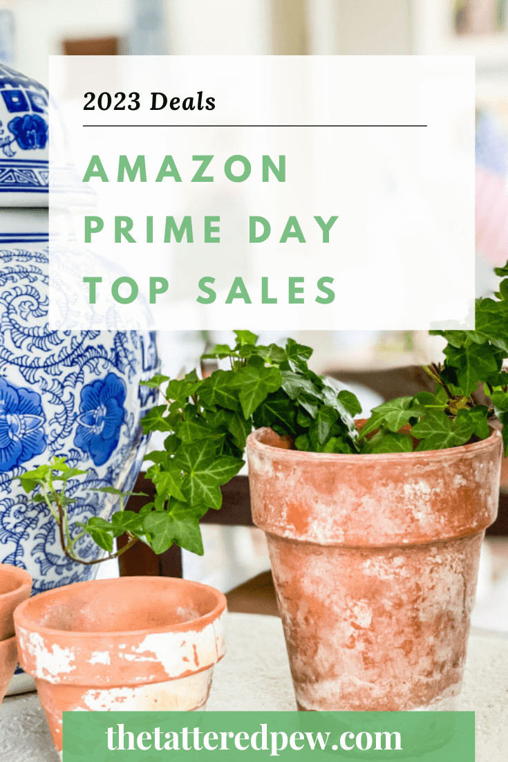 Amazon Prime Day Top Picks 2023