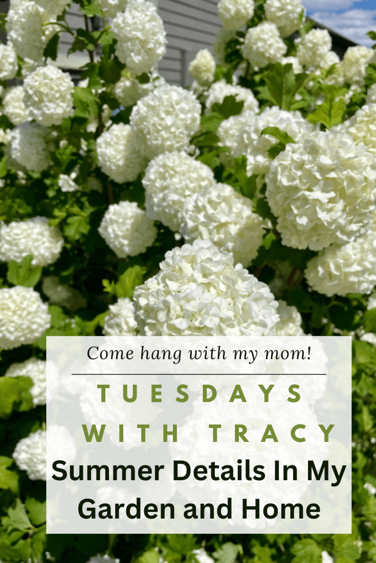 Tuesdays With Tracy: Summer Details In My Garden and Home