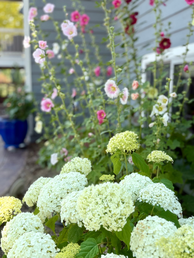 mom's flowers