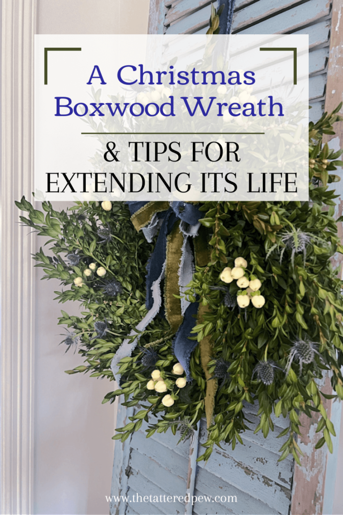 A Beautiful Christmas Boxwood Wreath and Tips for Extending Its life