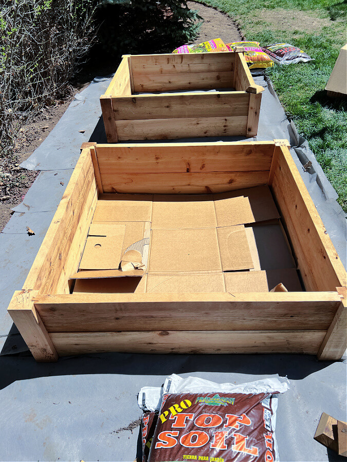 cardboard as base layer for raised garden beds
