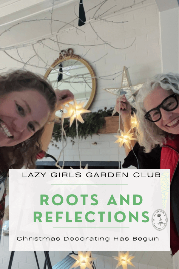 Roots and Reflections: Christmas Decorating Has Begun