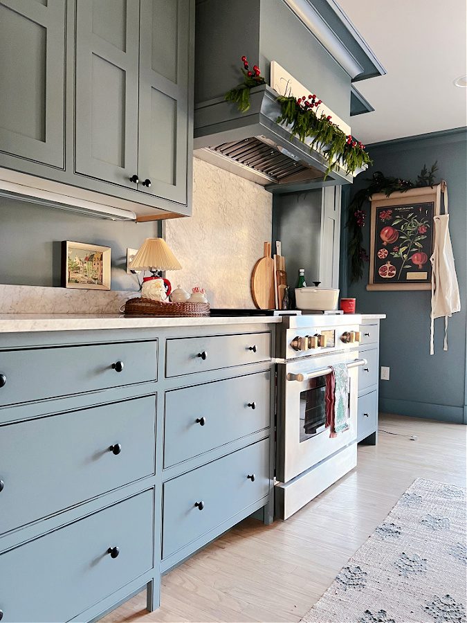 Oven and hood in blue kitchen