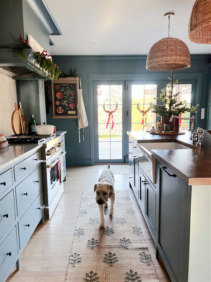 Kitchen decorated for Christmas with our dog