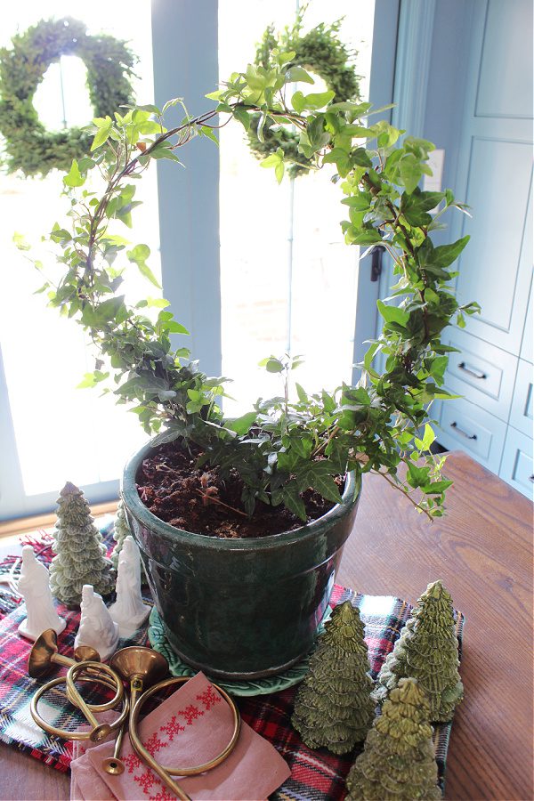 Christmas ivy topiary