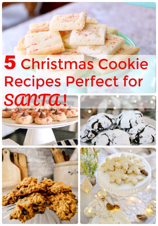 Five Christmas recipes perfect for Santa!
