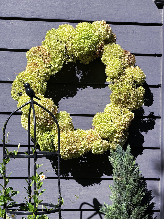 DIY hydrangea wreath hung up