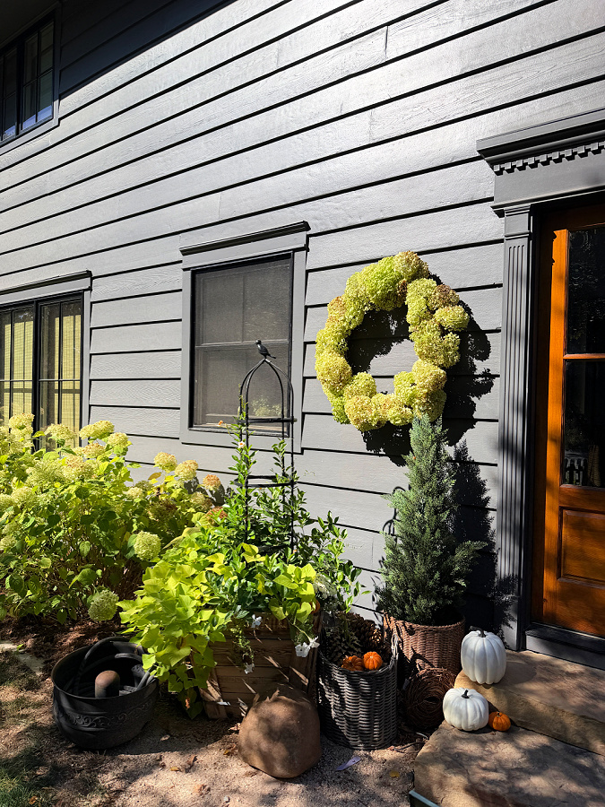 DIY Hydrangea wreath hanging on our house