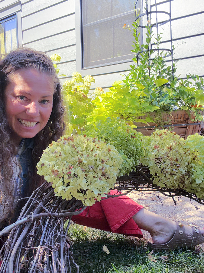tucking hydrangeas into grapevine wreath