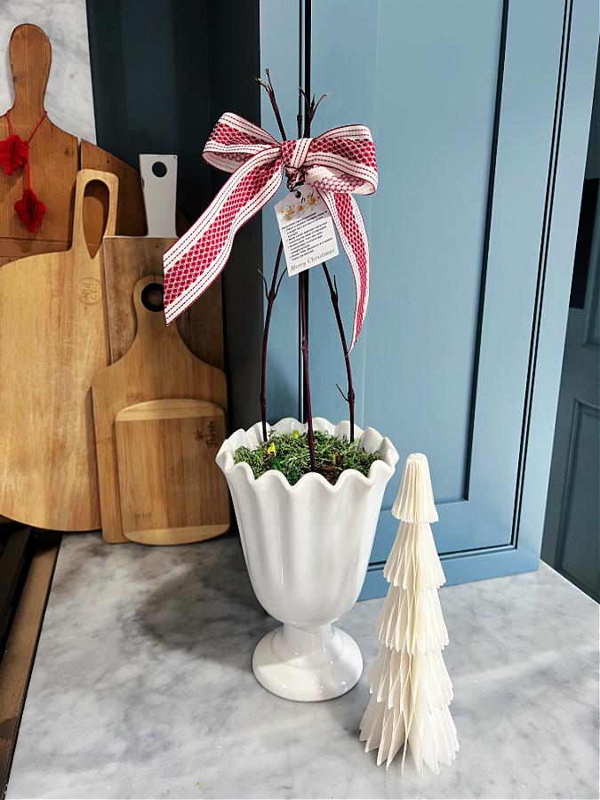 DIY Paperwhite Hostess Gift