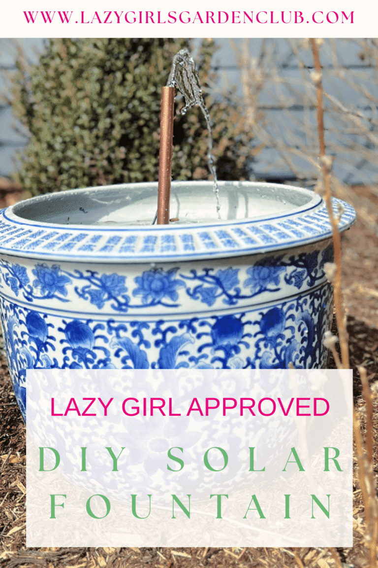 DIY Solar Fountain: Floating Fountain vs. Solar Pump