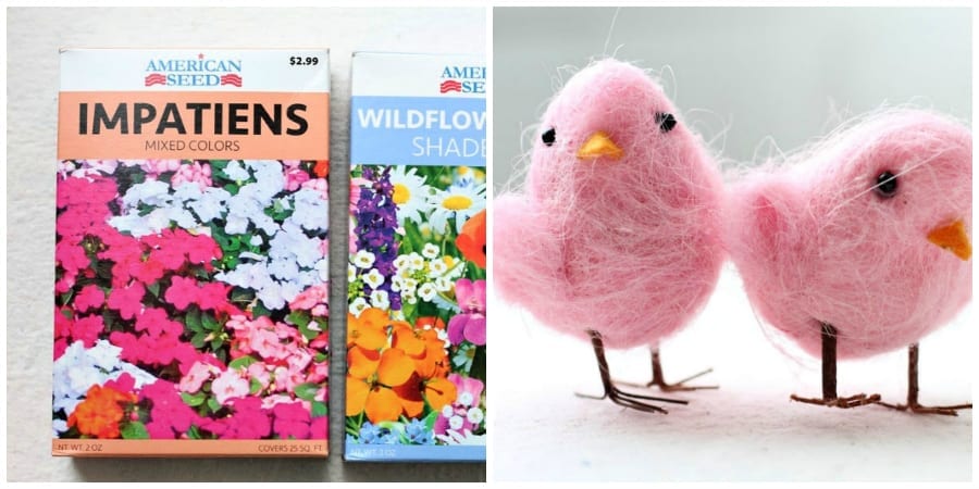 Hostess gift ideas-seeds and chicks