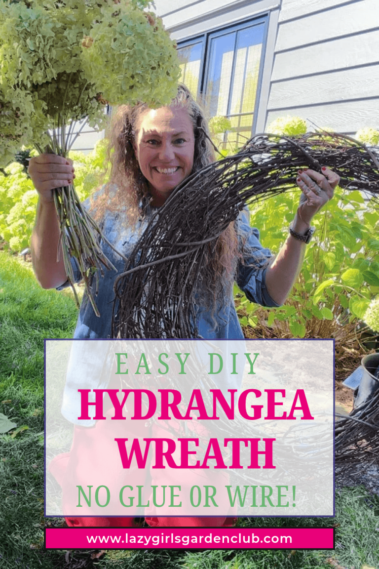 Easy DIY Hydrangea Wreath in 10 Minutes (No Glue or Wire!)