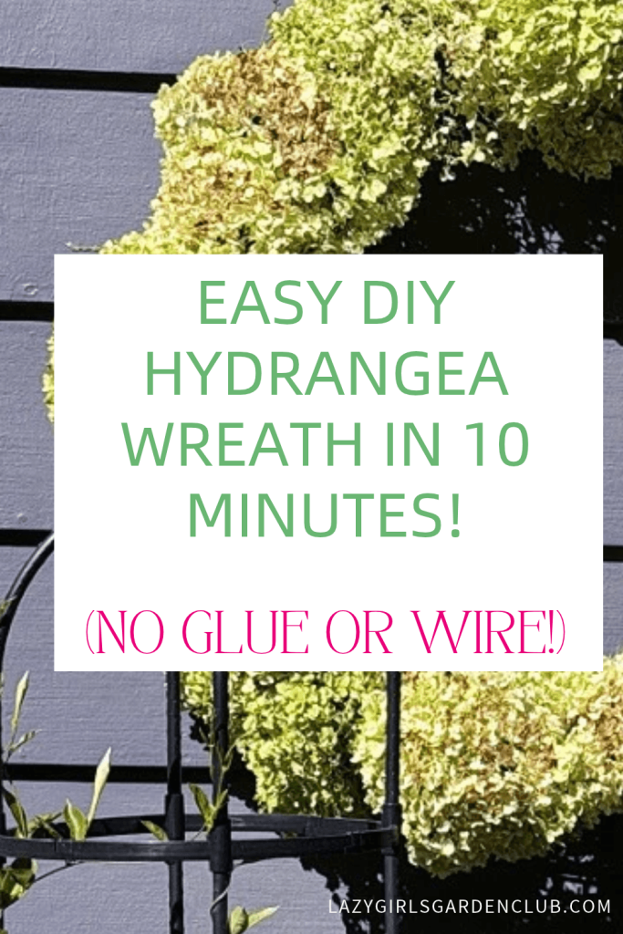 Easy DIY Hydrangea Wreath in 10 Minutes (No Glue or Wire!)