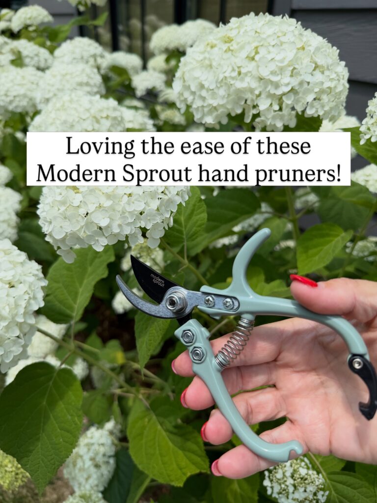 favorite pruners for cutting hydrangeas