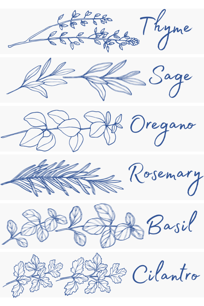 blue herb markers
