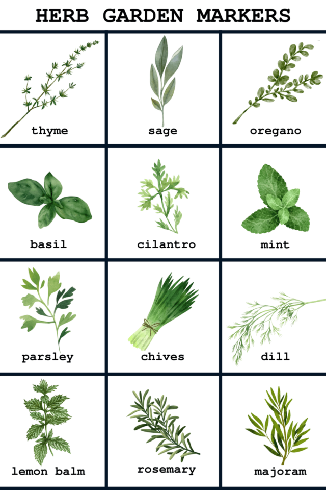 Free Printable Garden Markers For Flowers and Herbs » Grow Beauty With Ease