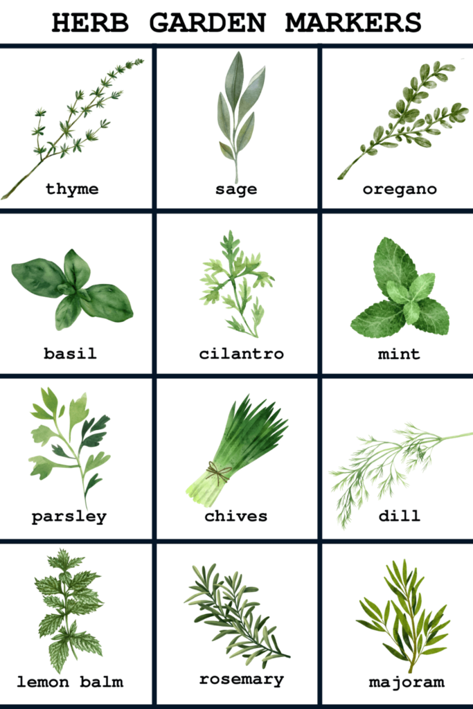 set of herb markers for your garden