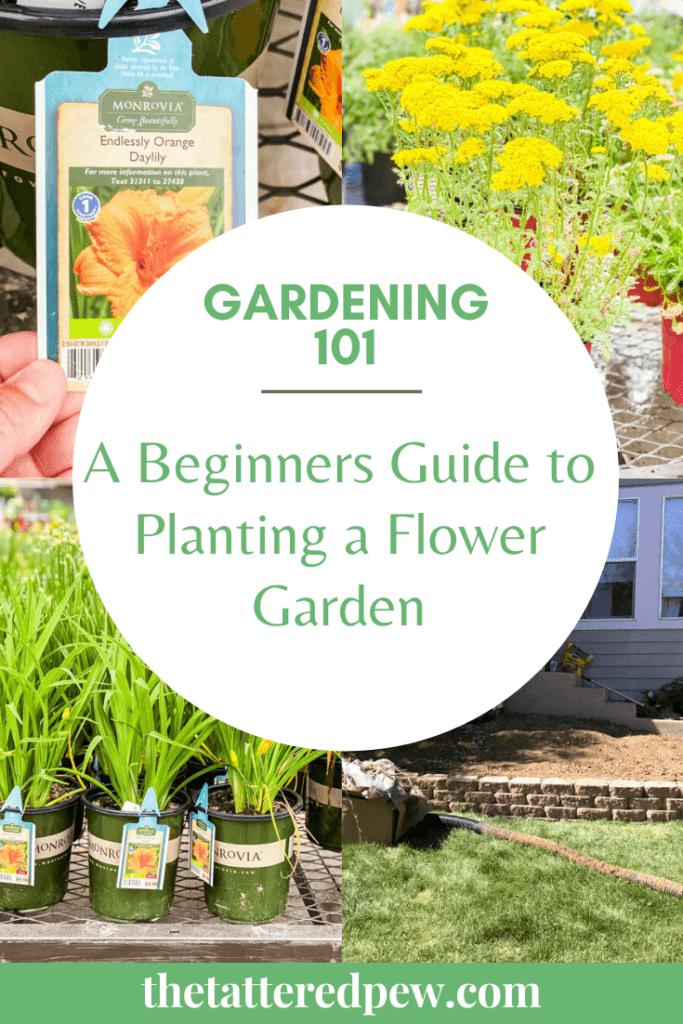 Thinking of starting a flower garden? This beginners guide will guide you through the entire process.