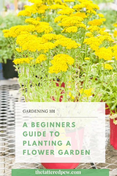 A Beginners Guide to Planting A Flower Garden » The Tattered Pew