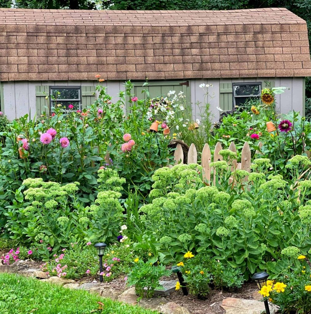 Garden Shed with flowers from Stacy Ling of Bricks N Blooms