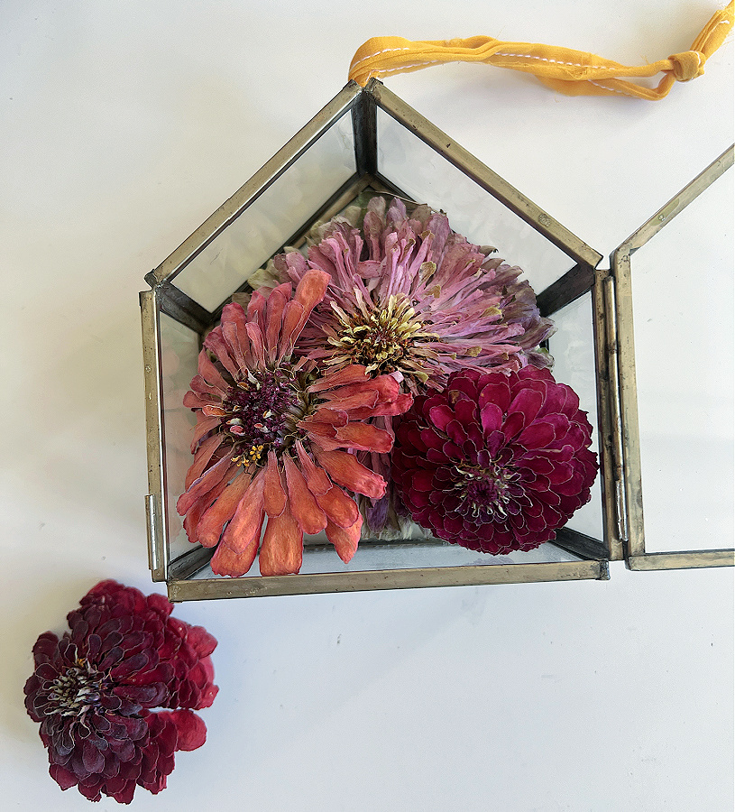 mini greenhouse ornament filled with zinnias