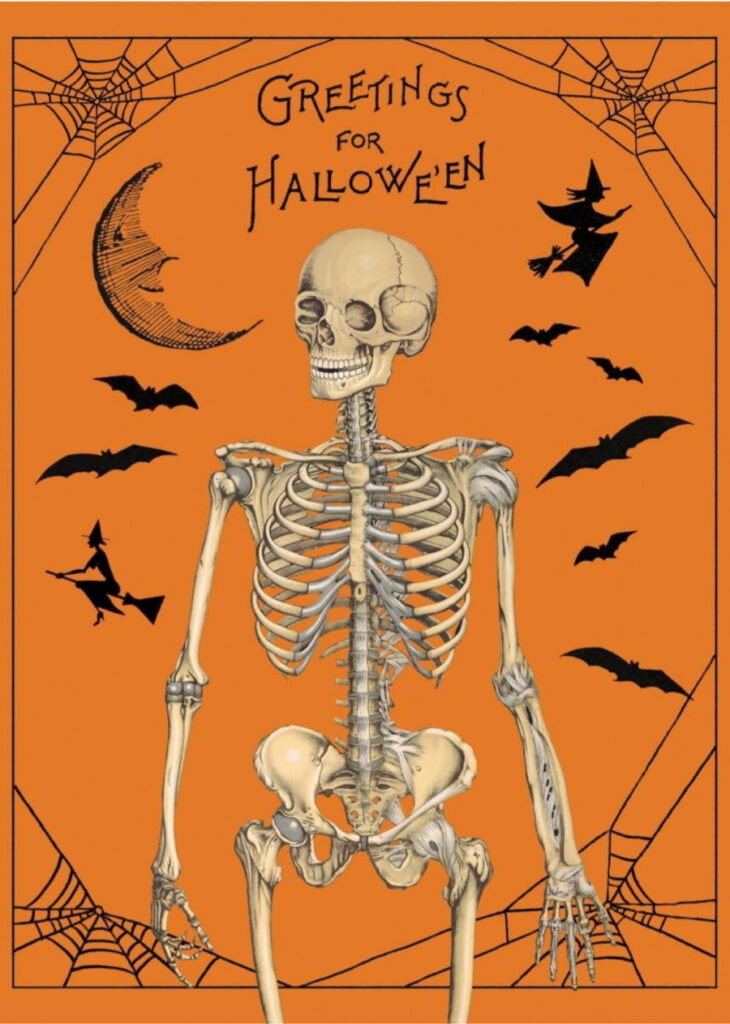 Aesthetic vintage inspired Halloween Poster with Skeleton