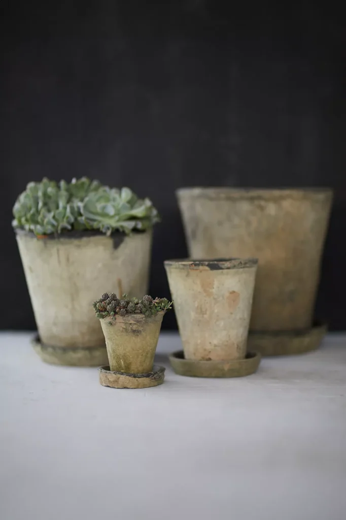 herb clay pots