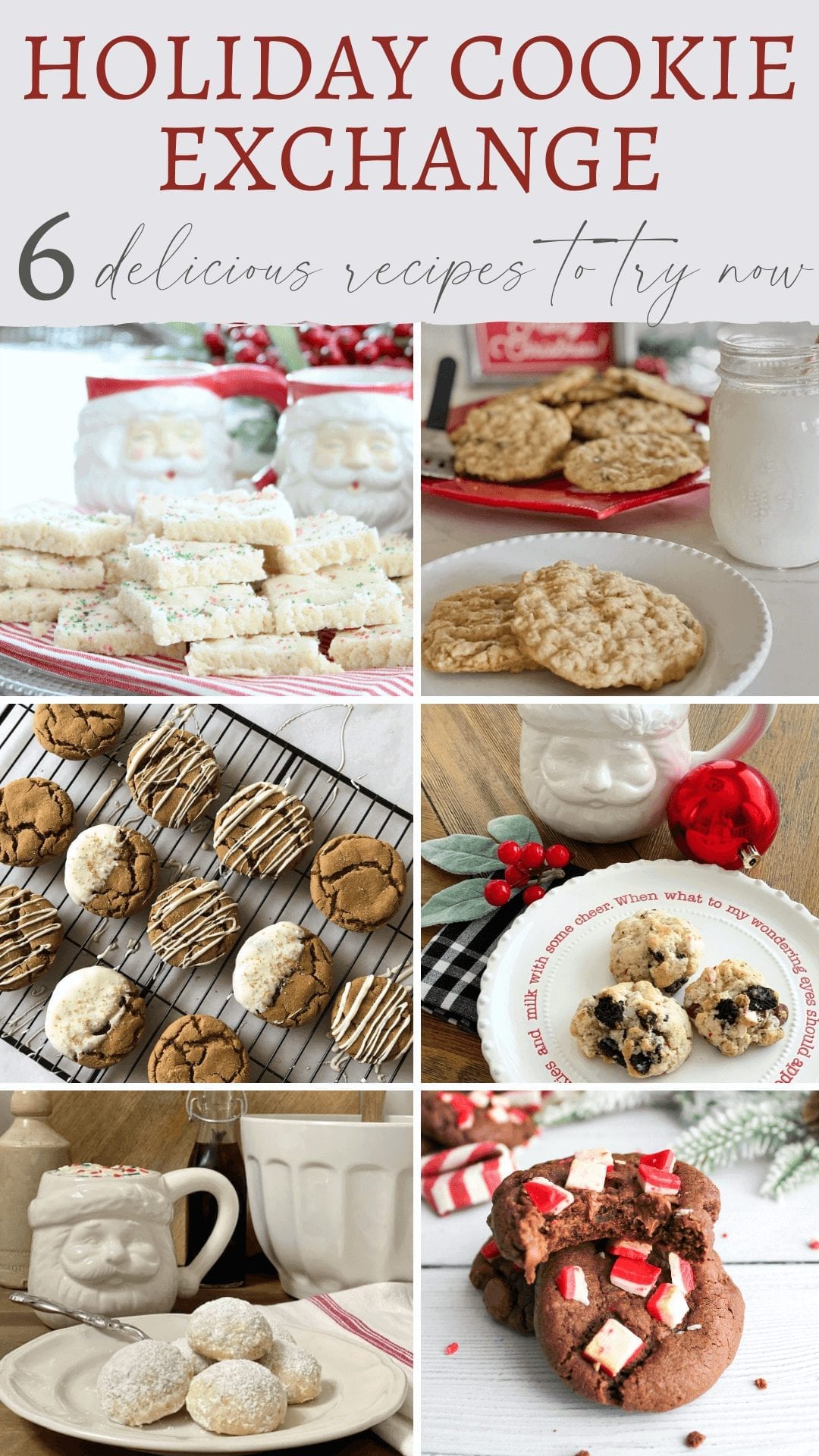 6 delicious recipes to try for holiday cookies!