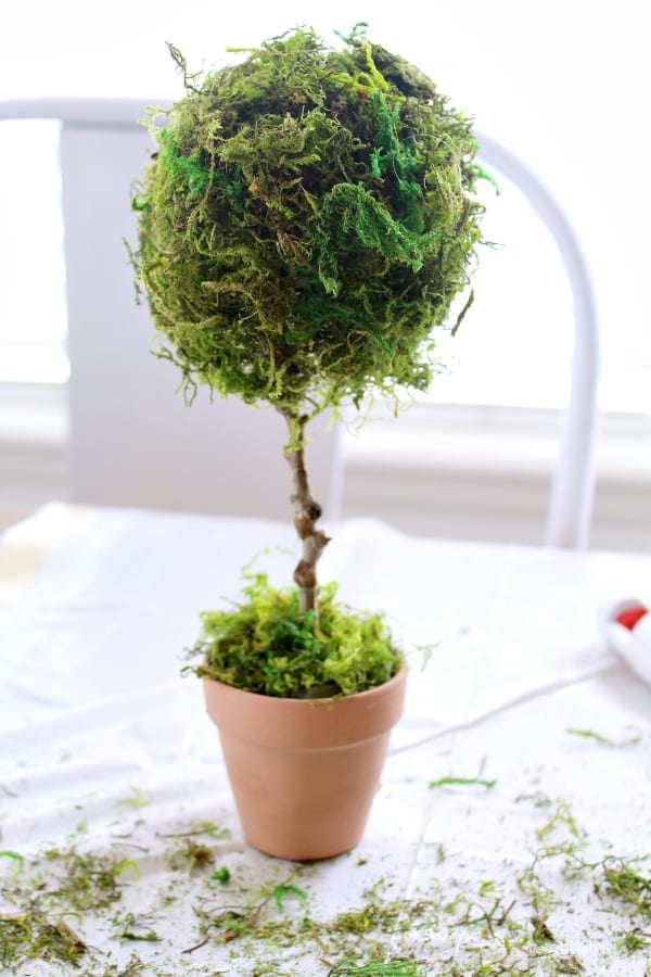 How To Make a Mini Teacup Topiary