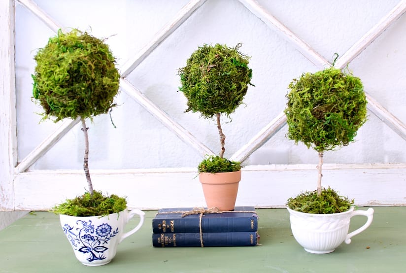 How to make a teacup topiary.