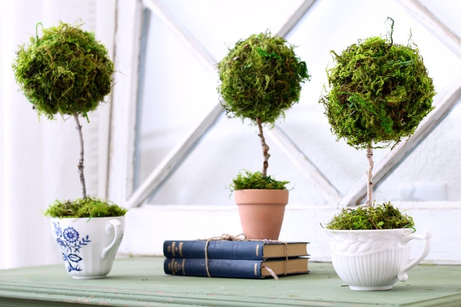 How to make a mini teacup topiary in less than 15 minutes.