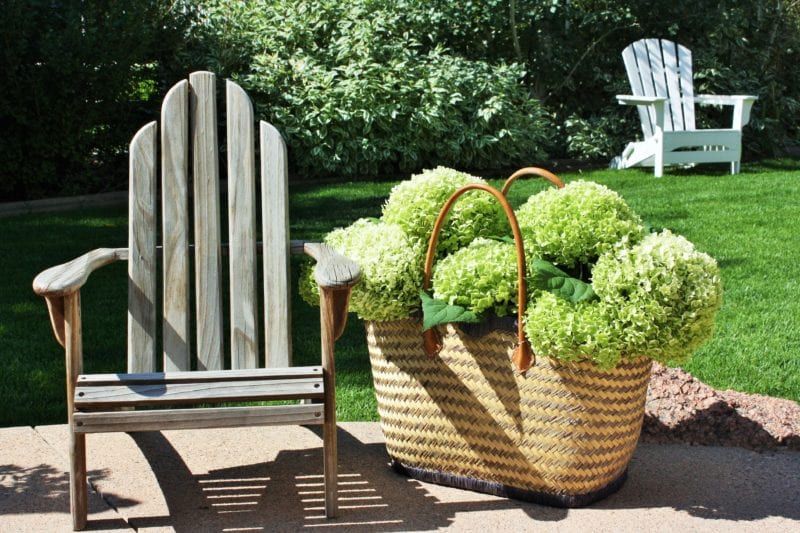 Tips and tricks fro drying hydrangeas the easy way.