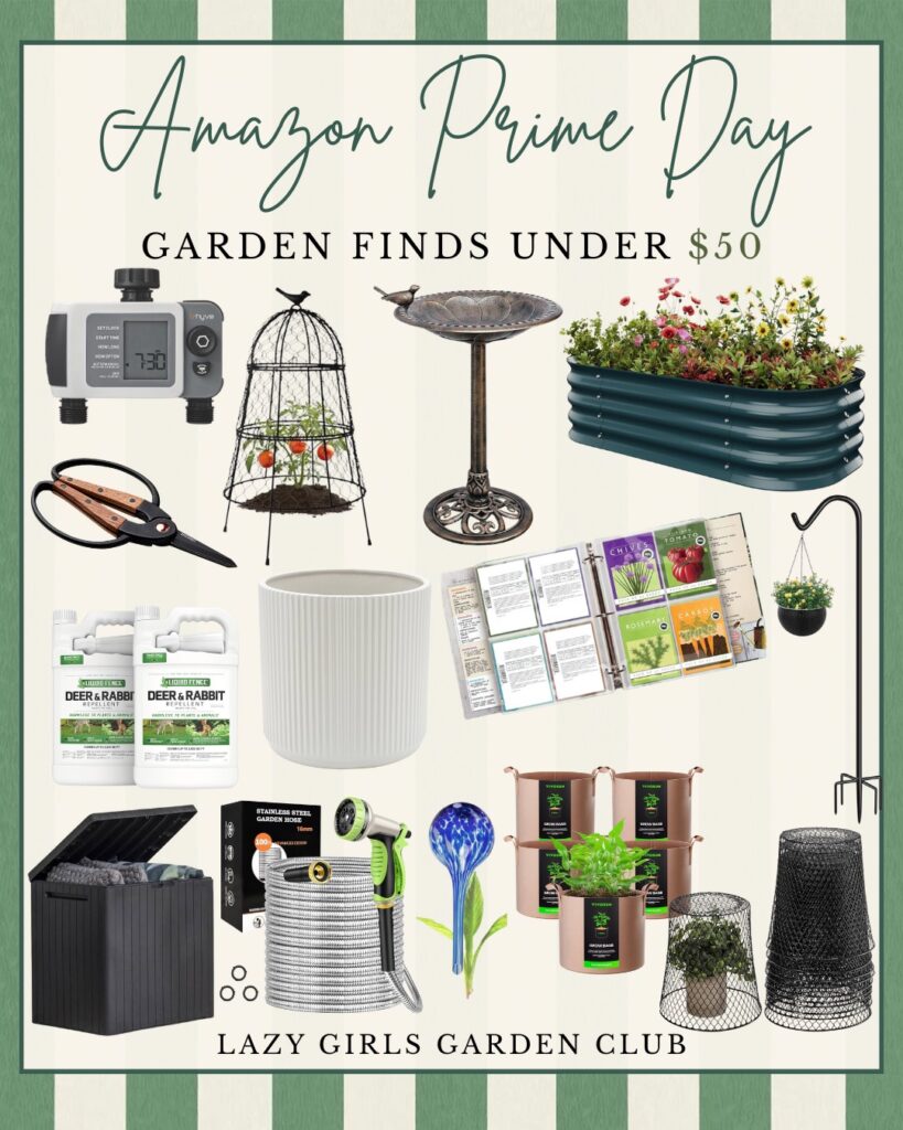 Prime Day Garden Finds