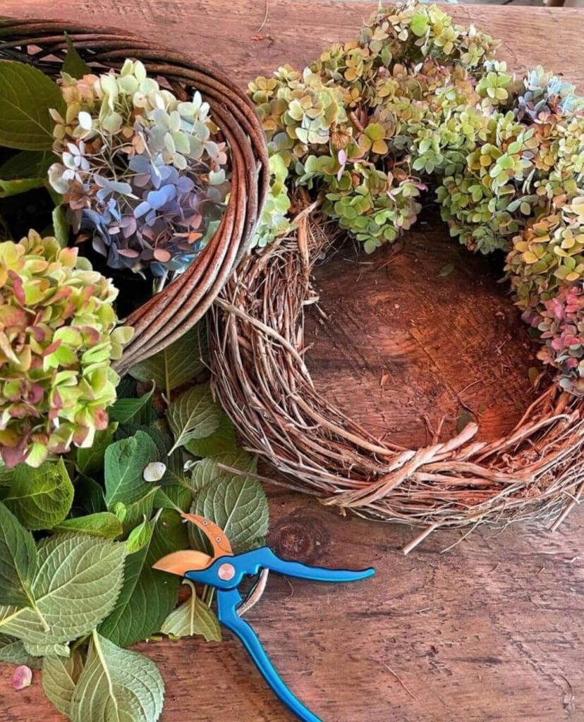 Dried hydrangea wreath DIY for free