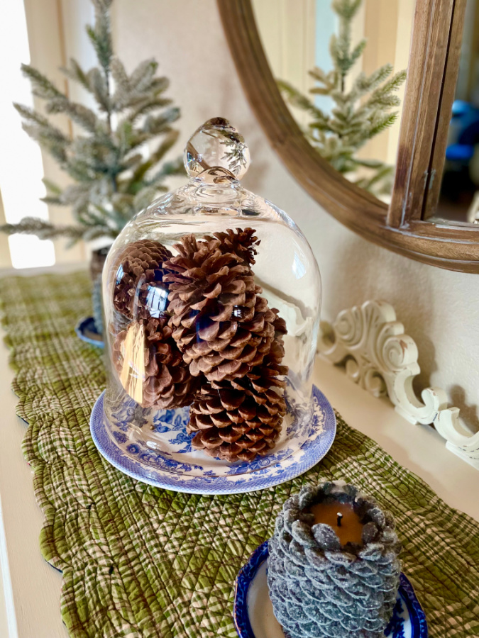 pinecones in cloche