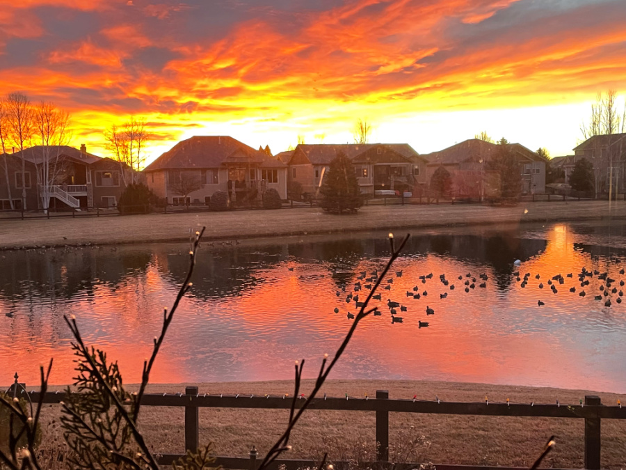 cozy January pond view